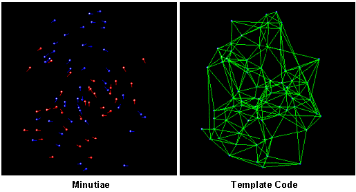 Minutia extraction